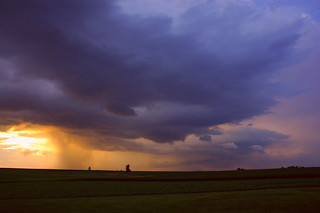 Summer Shower