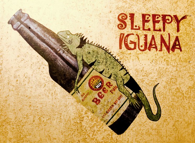 One Happy Iguana