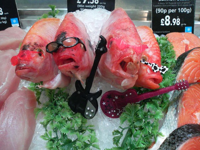 sole singers | someone in the asda fish department has a sen… | Flickr