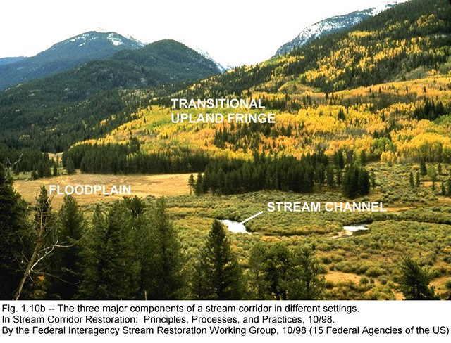 Stream Corridor | Diagram shows the different stages of a st… | Flickr
