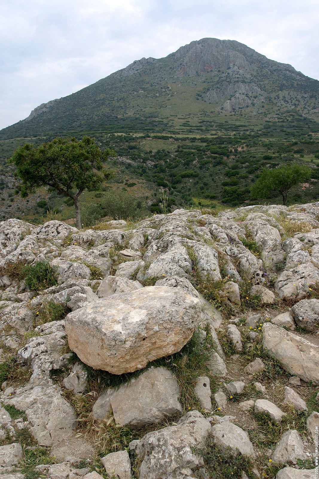 GR06 0234 Mycenae