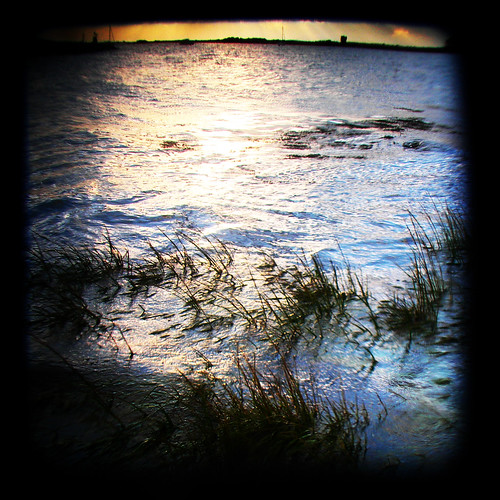 ocean morning water grass sunrise polaroid october marine connecticut atlantic grasses hightide groton ttv throughtheviewfinder courtnayjaniak