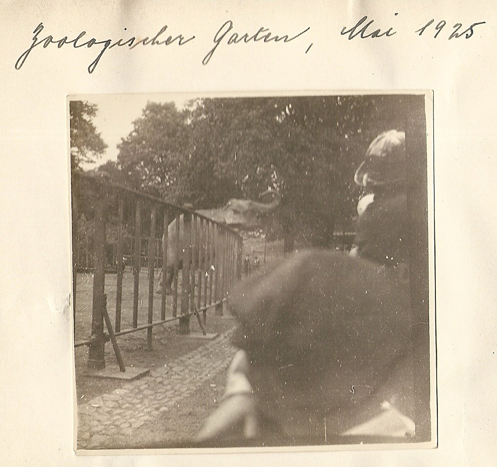 found photos german family 1920's (1)