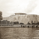 European parliament