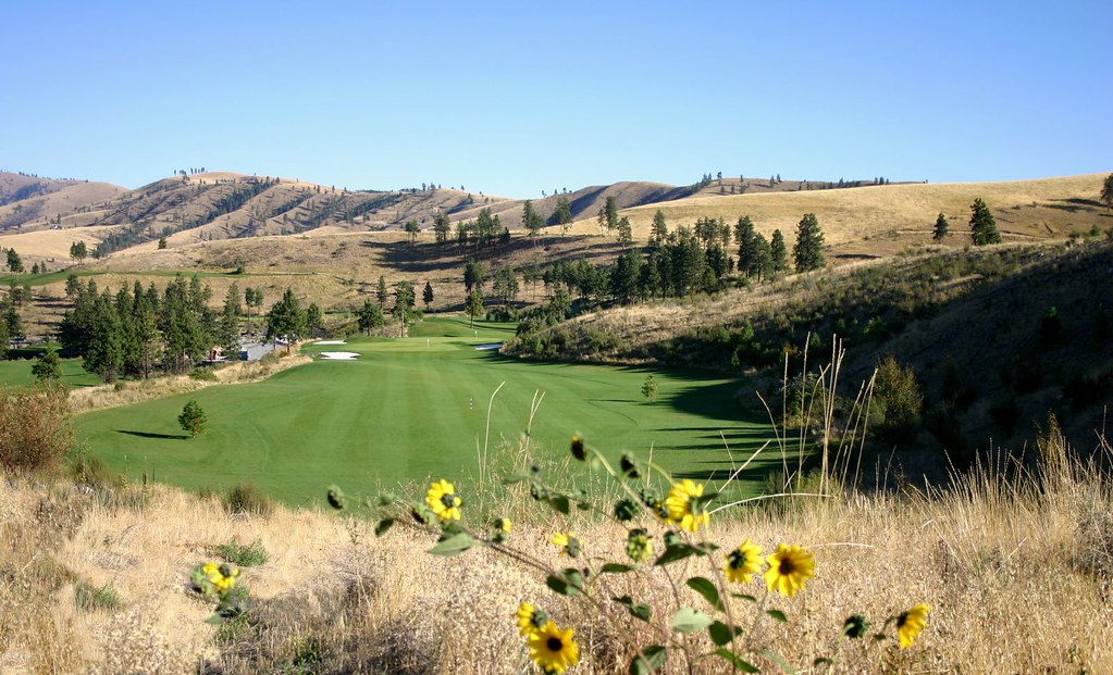 Bear Mountain Ranch Golf Course Chelan Wa Wildflowers On Flickr