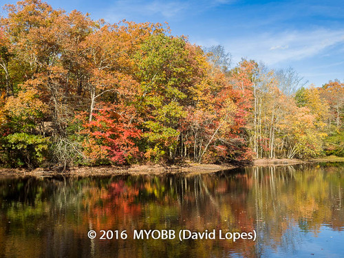 allaire allairestatepark em1 nj newjersey omd olympus fall foliage leafs nature park