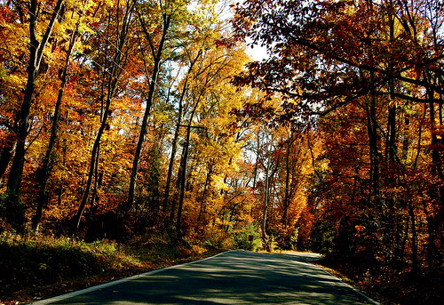 road autumn fall virginia foliage va varina henricocounty