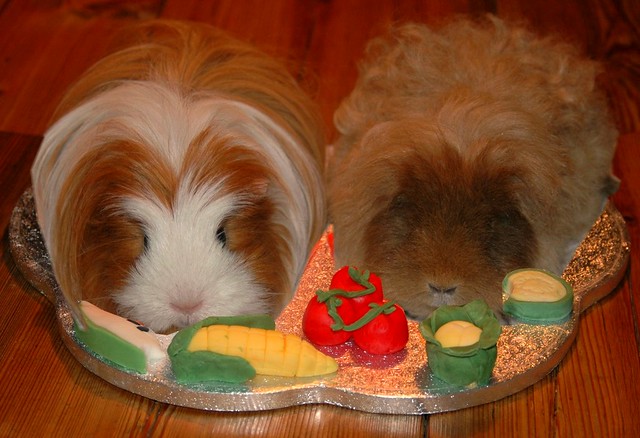 Mavis and Mabel - Birthday Piggies!
