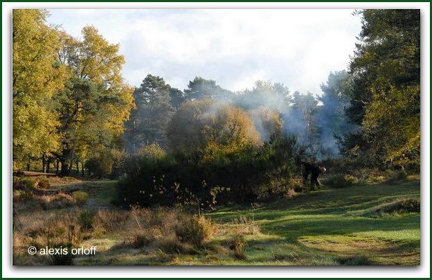 Golf de Fontainebleau ORL_3656