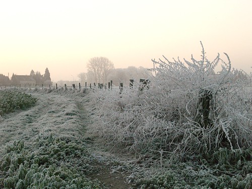 morning trees winter field sunrise landscape ilovenature feld meadow wiese bäume sonnenaufgang morgen 4winter anrath reif winterlandschaft niederrhein thebigone rauhreif aplusphoto