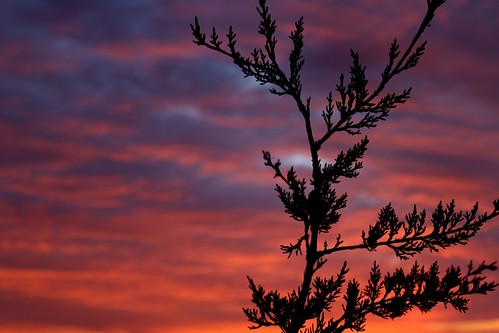 monochrome silhouette clouds sunrise greatriverbluffsstatepark