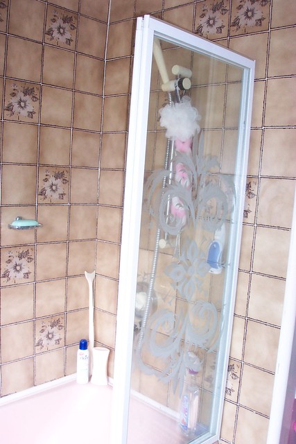 Bathroom remodel : the original shower & screen