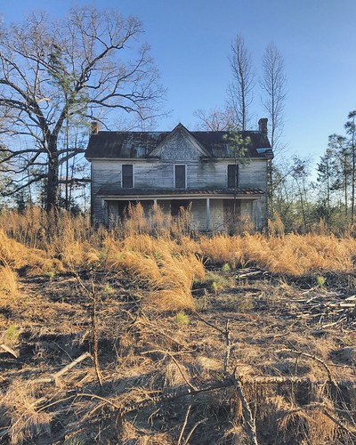 evening sunset hour golden colorful gold field haunted spooky creepy eerie northcarolina durham fallslake home house abandoned adventure foliage empty falling apart run down weeds overgrown outdoors landscape
