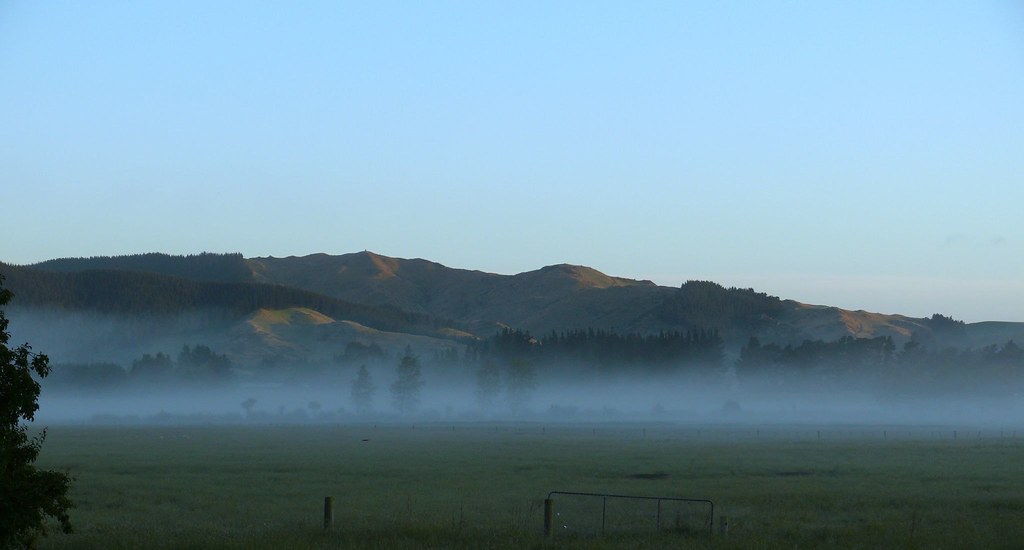 More early mist at Greta Valley, New Zealand