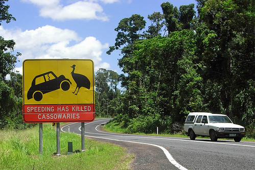 australia queensland roadsign speeding cassowary missionbeach wettropics