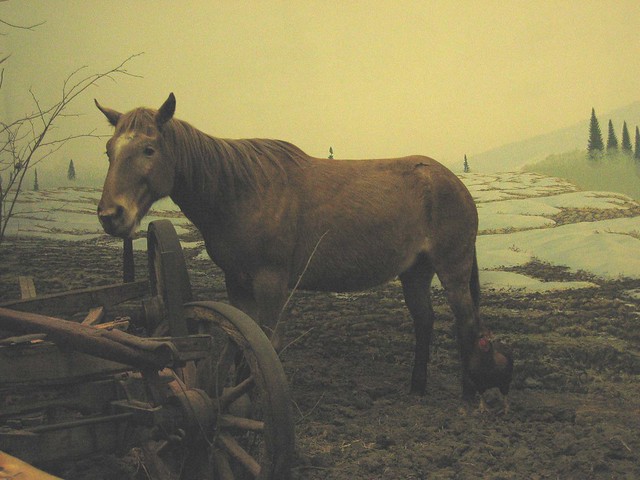 Horse at Royal British Columbia Museum