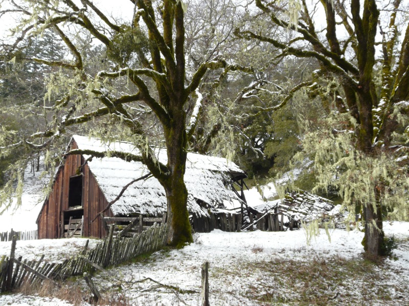 Fallen Barn in Snow