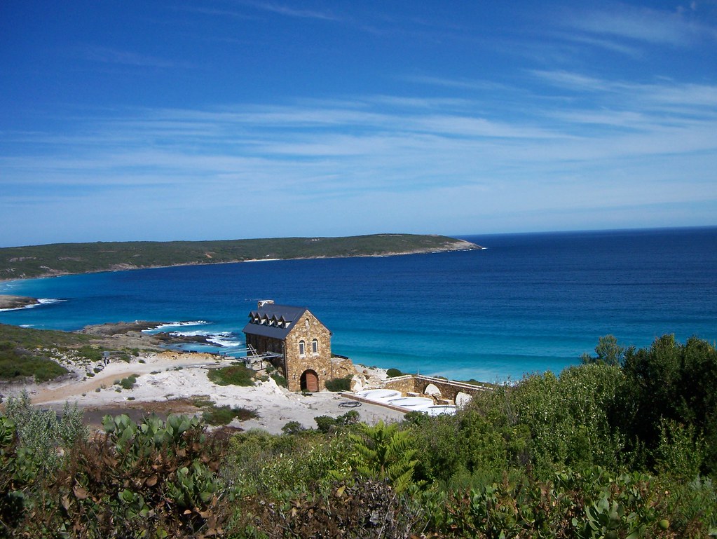 “The Church”