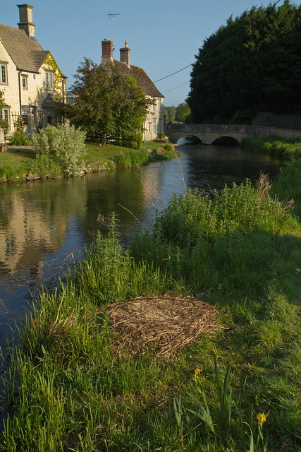River and Swan's nest, Fairford