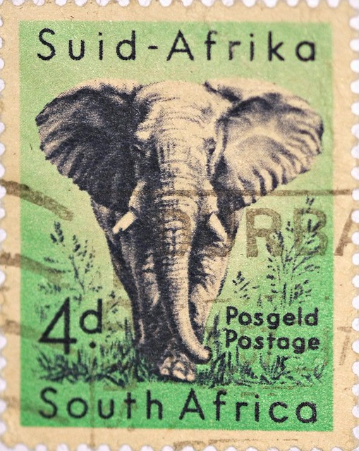 South African Elephant Stamp
