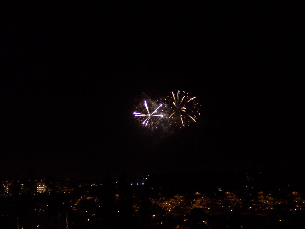 100_2239 | View from our balcony at night: fireworks. | marfita | Flickr