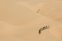 Desert Tourists