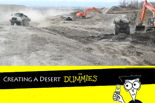 creating a desert | by adamhuc