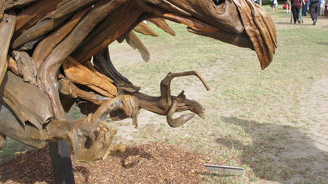 Haast's eagle in driftwood