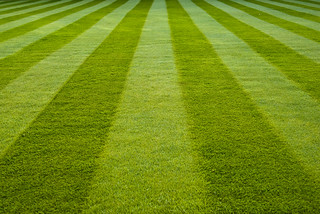 Stripes on the lawn - Emmanuel | by AdamKR