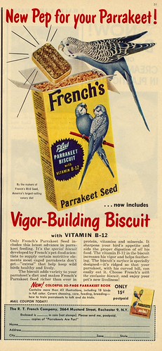 vigor-building biscuit | vintage magazine parakeet | Flickr