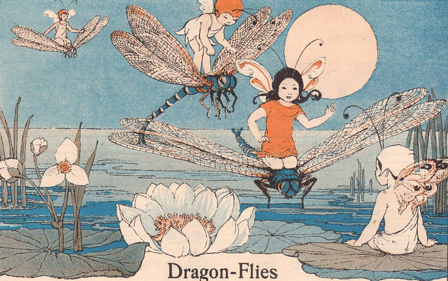Dragon-Flies or the fairy aeroplanes; illustrator Shirley Kite