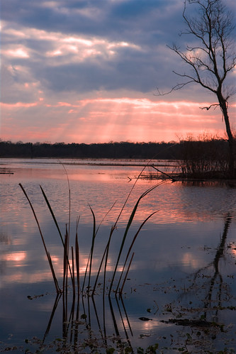 Rays by Gerard Harrison, <a href="http://www.VisibleIntent.com" rel="nofollow">www.VisibleIntent.com</a>
Sunrise at Brazos Be