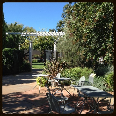framed davis ca patio pergola garden landscaping lunch table chairs summer seasonal relax sunshine dappledsun