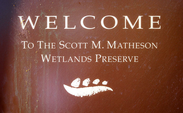 Welcome to the wetlands... 20061022_7152