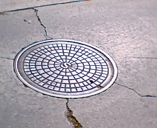manhole cover 3-24-07 | by Prof. Elephant