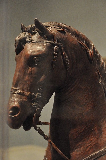 Horse head, detail of an equestrian portrait