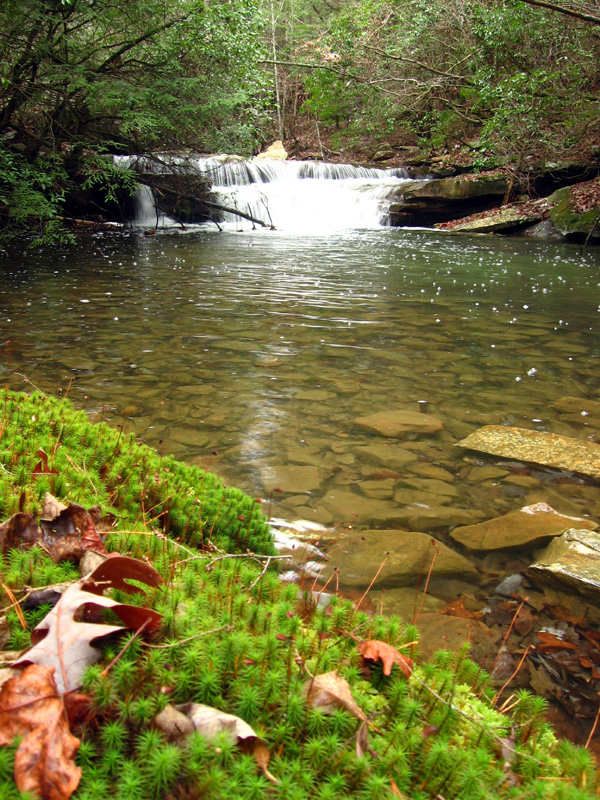 Unnamed Cascades, Virgin Falls, White Co, TN