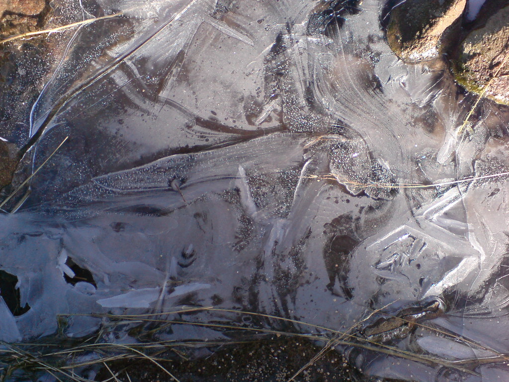 Icy Puddle