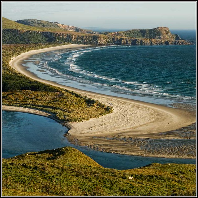 Victory Beach, Otago Peninsula, Dunedin, NZ