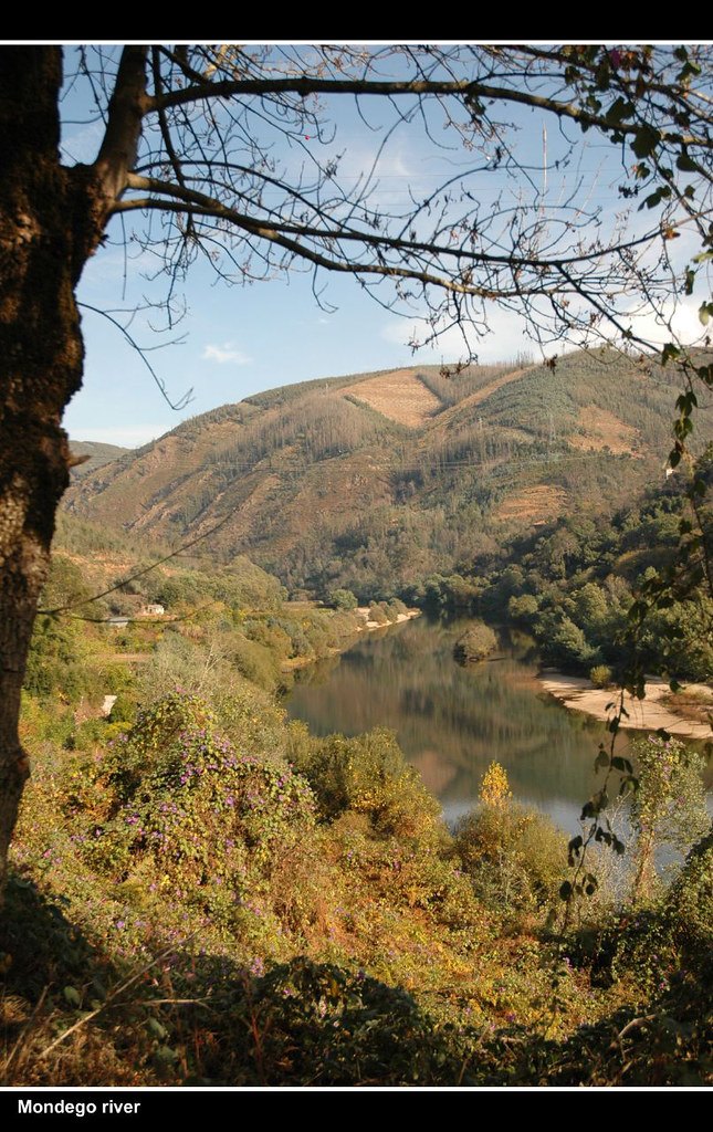 Malgo Rivers Mondego river - a photo on Flickriver