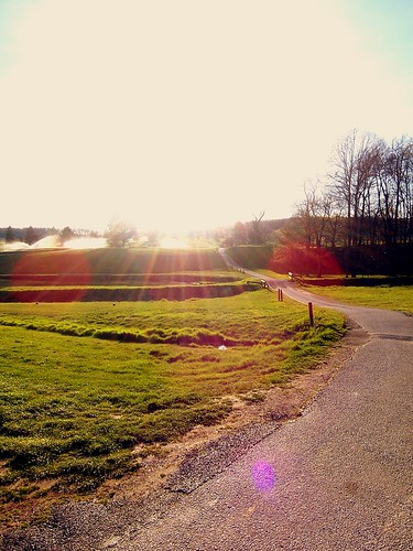 salutation by sexyy.sadie, sunset sun water field grass path
