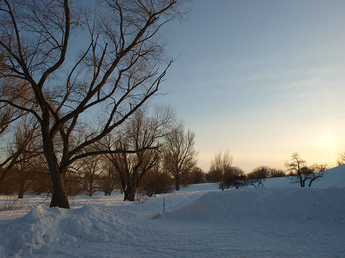 Arboretum in Winter