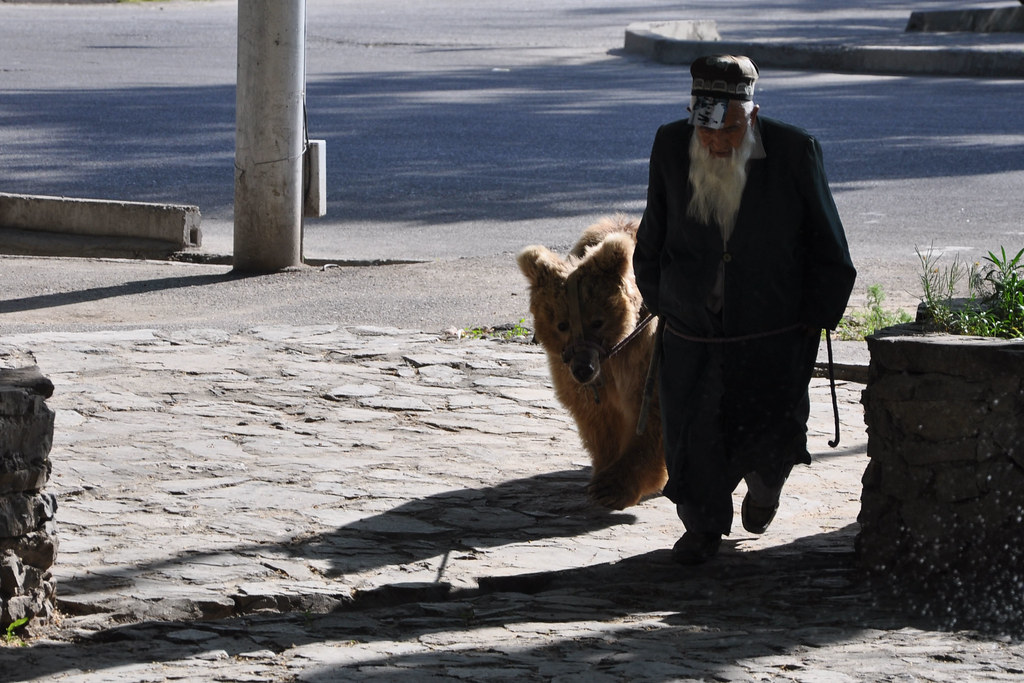 Dushanbe - Maria the Bear