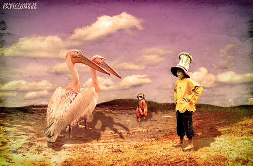 Conversation with the Pelicans in the Dunes.. by papillon666