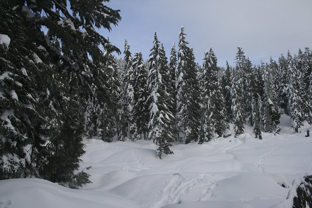 First Lake in Mount Seymour Provincial Park
