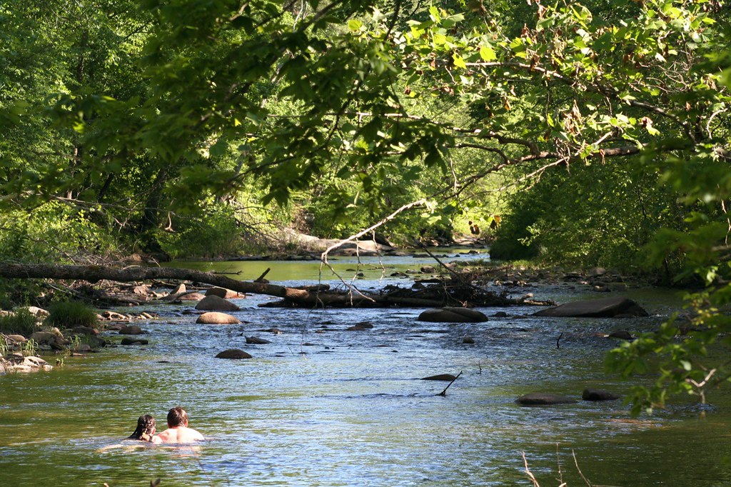 Swimming in the Rivanna