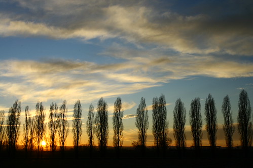 Same Place, Different Sky. | by John Pastorello