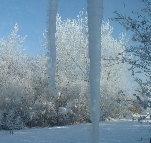 Sunlit hoarfrost and icicles