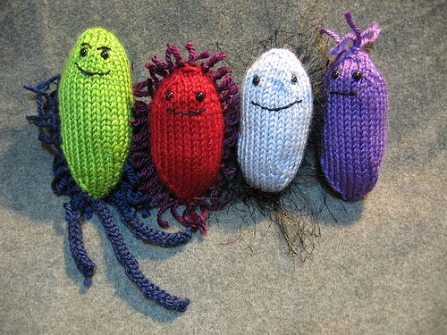 four bacteria  Picture from loxosceles org crafty bacterium Flickr