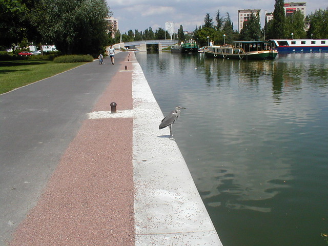 Heron by the Canal de Bourgogne, France 2003